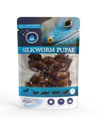 Jurassic Naturals Super Fresh Silkworm Pupae 15g