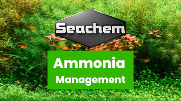 ammoniamanagement-seachem.jpg