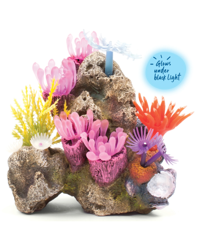 Small Soft Coral Garden with Rock
