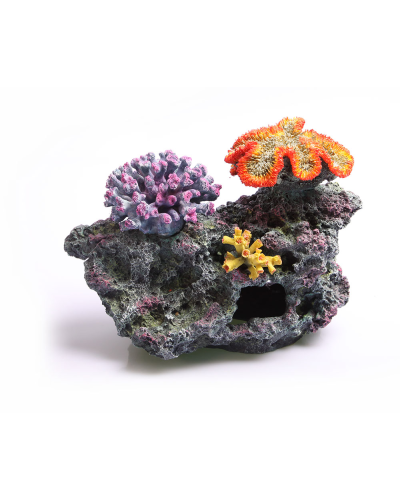 3 Corals on Live Rock Large