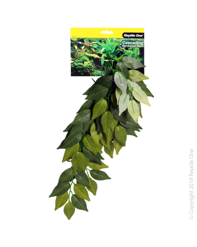Reptile One Green Varigated Ivy Cascading Plant 40cm