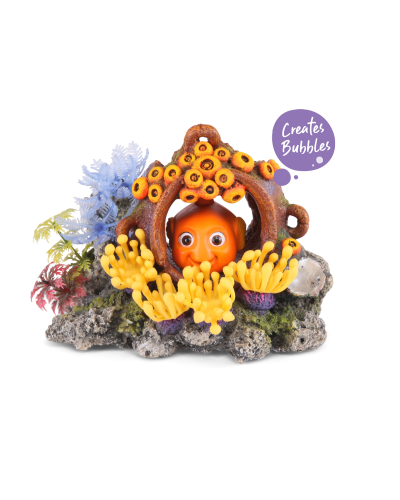 Bubbling Coral With Hidden Fish - Medium