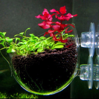  | Plants and aquarium soil NOT included