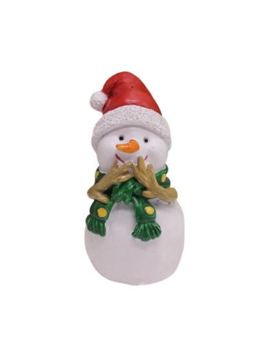 Christmas Snowman with Christmas Hat
