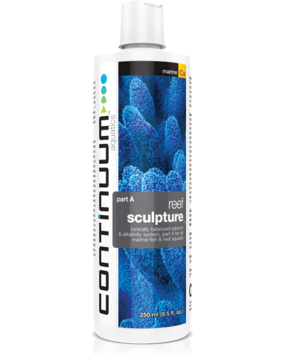 Continuum Aquatics Reef Sculpture (Part A) 250ml