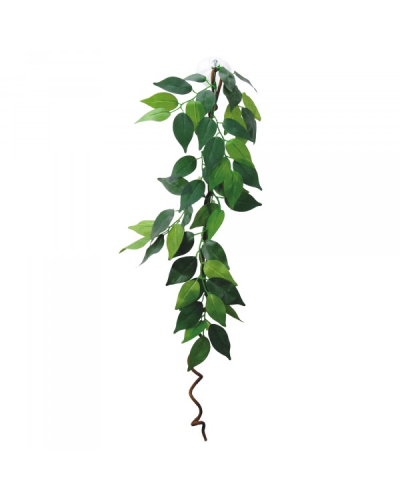 Eco Tech Hanging Ficus with Vine 60cm