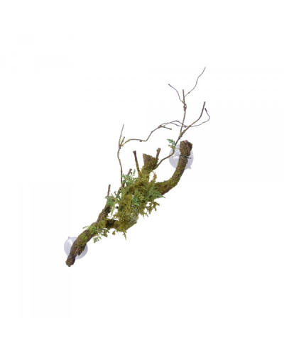 Eco Tech Large Vine Cluster with Moss Lichen