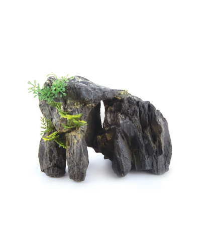 Granite Rock With Plants - Small
