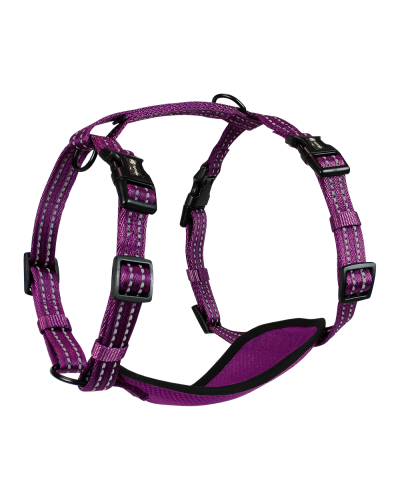 Alcott Adventure Nylon Harness Set Purple Medium