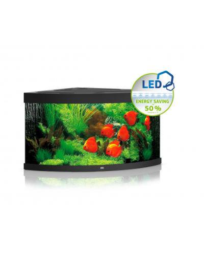 Juwel Trigon 350 LED Corner Aquarium - Black