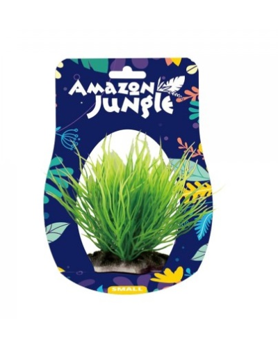Amazon Jungle Spike Grass Display 10-12cm
