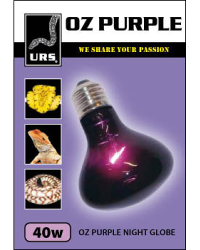 URS Oz Purple Small Night Globe 40W