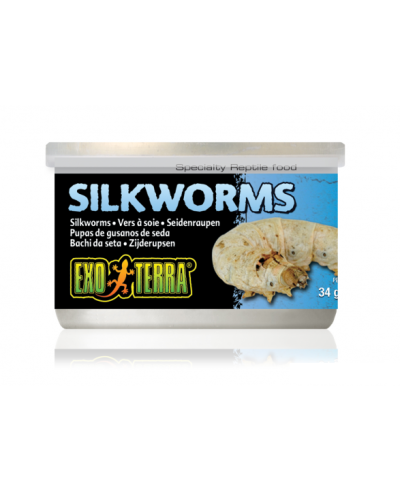 Exo Terra Wild Silkworms Medium 34gm