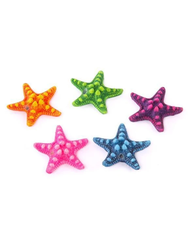 Starfish 5 Pack Mini
