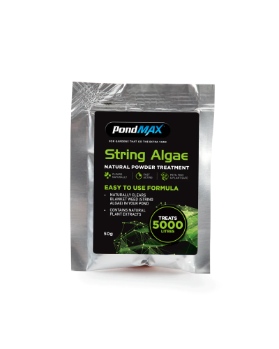 PondMax Natural String Algae Treatment Sachet 50g