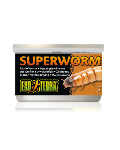 Exo Terra Canned Superworms 34gm