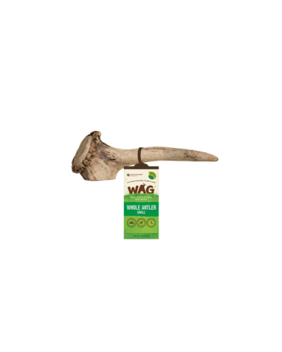 WAG Whole Deer Antler Small