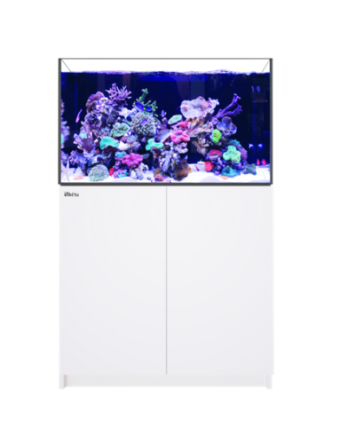 Red Sea REEFER G2+ 300 WHITE